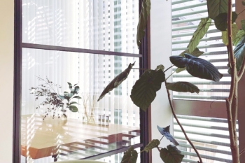 アロマ講座一覧